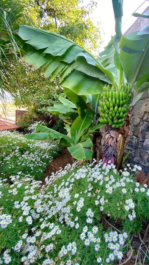 Casa Ideal Para Familias Com Vista Mar Desafogada Funchal  Eksteriør billede