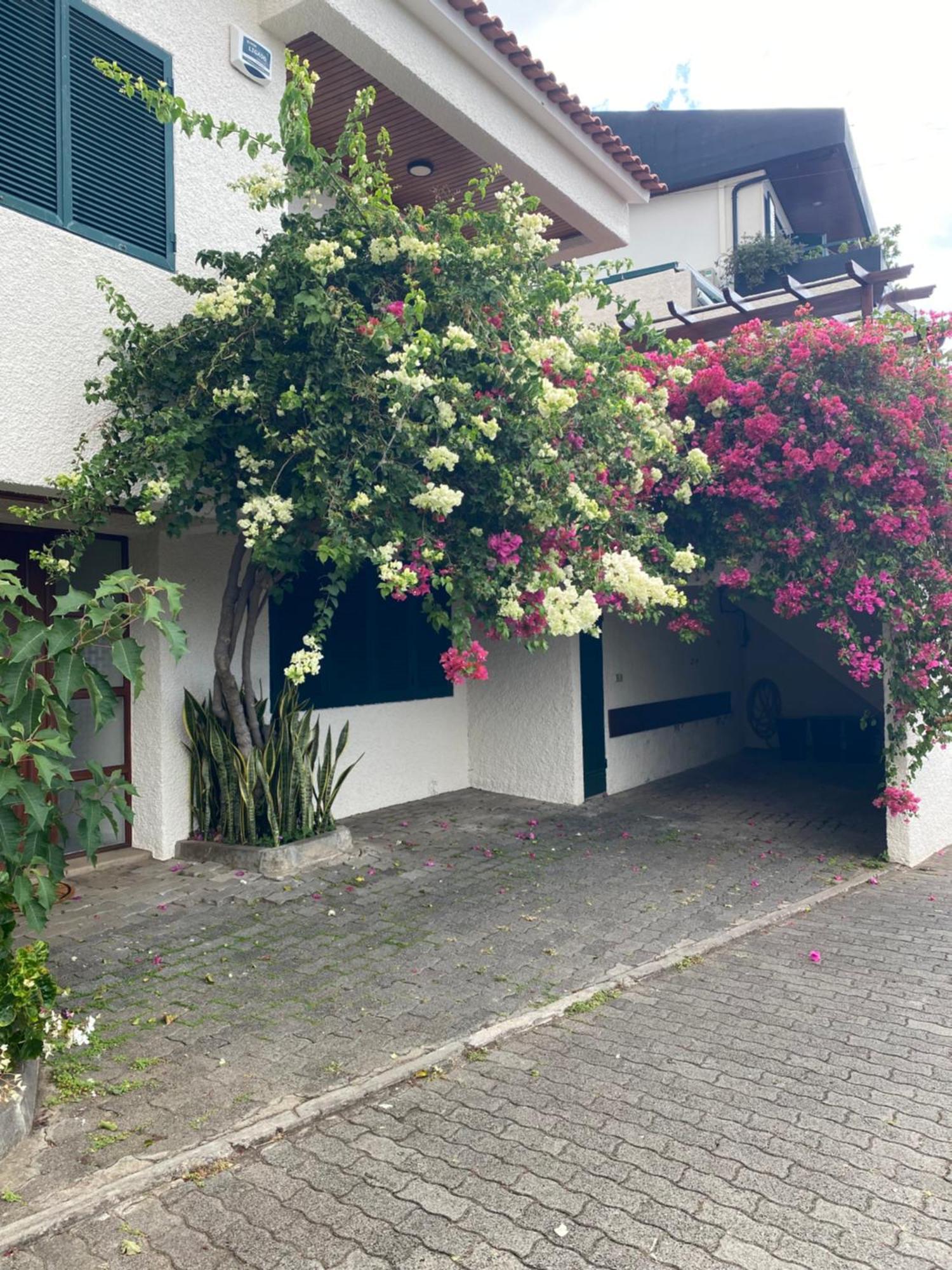 Casa Ideal Para Familias Com Vista Mar Desafogada Funchal  Eksteriør billede
